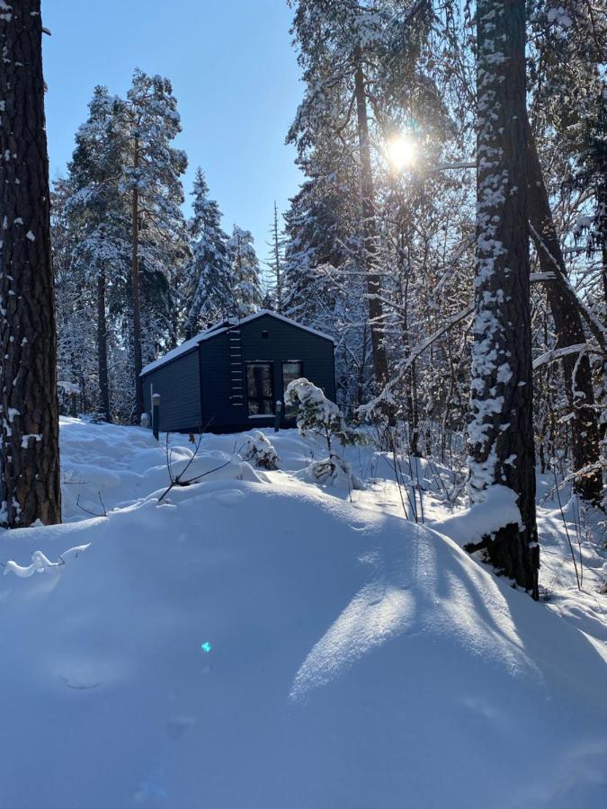 Tammikon Tupa Villa Tuusula Exterior photo